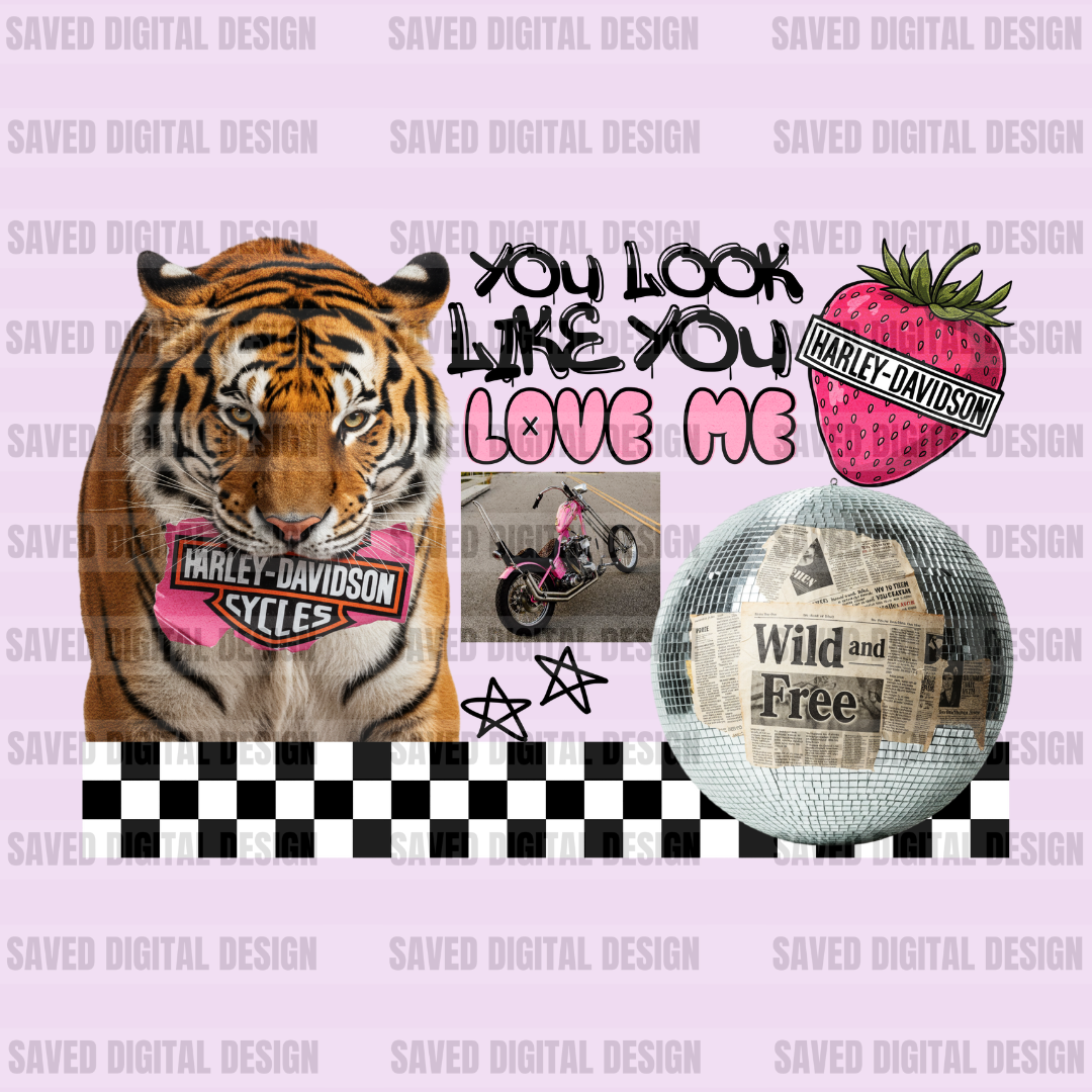 HARLEY YOU LOOK LIKE YOU LOVE ME COLLAGE