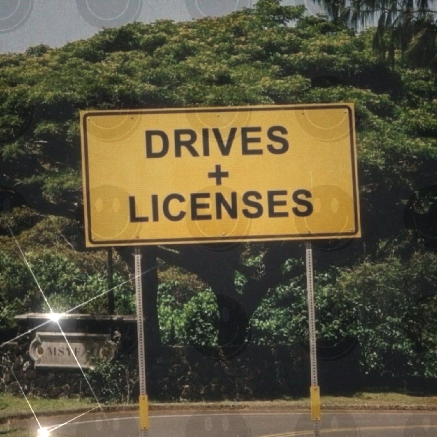 DRIVES + LICENSES