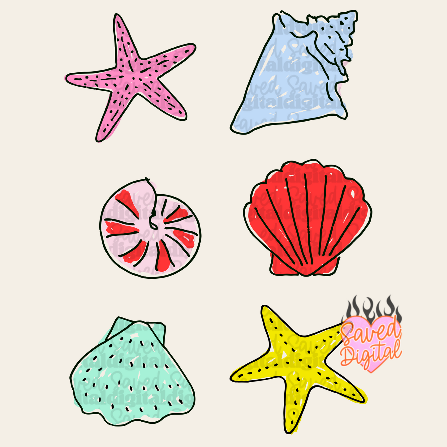 SEASHELL COLLAGE