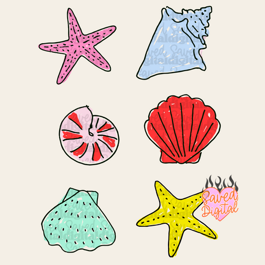 SEASHELL COLLAGE