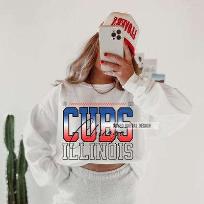BASEBALL CHICAGO PNG - WHITE + BLACK INCLUDED