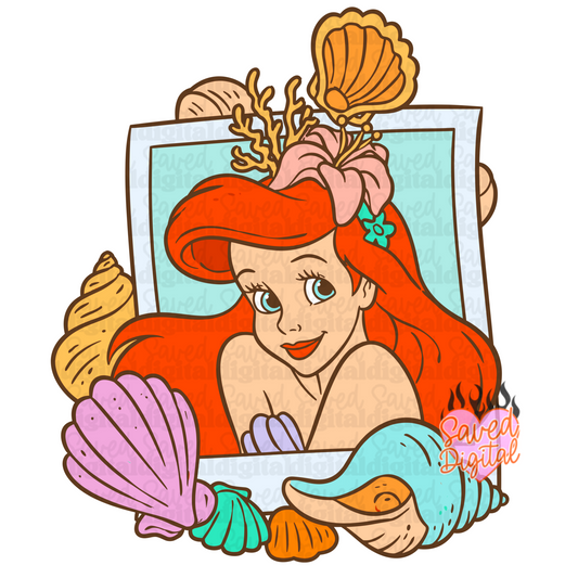 ARI SEASHELL FRAME PNG OR CLIPART