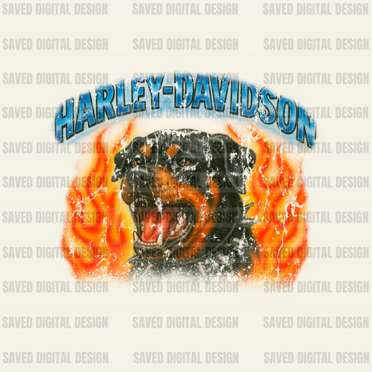 HARLEY ROTTWEILER