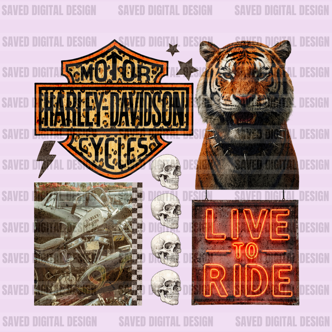 HARLEY LIVE TO RIDE COLLAGE