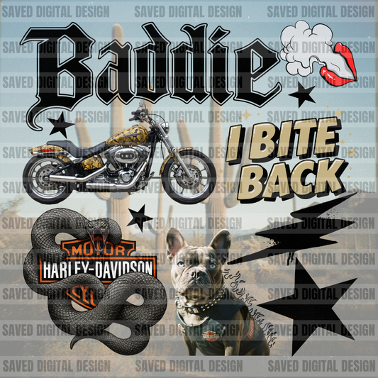 BADDIE HARLEY COLLAGE