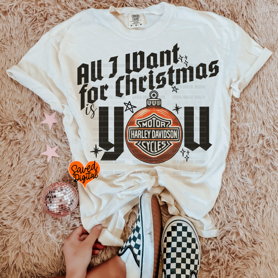 SANTA BABY - BUNDLE of 18 OR SINGLES