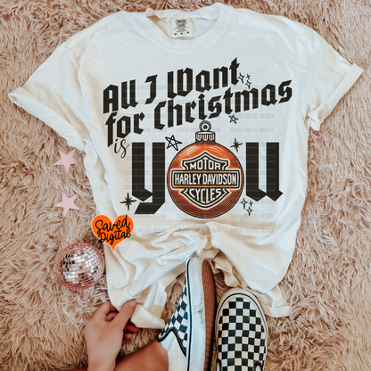 SANTA BABY - BUNDLE of 18 OR SINGLES
