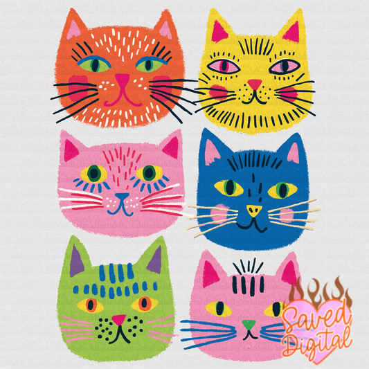 SUMMER CAT COLLAGE