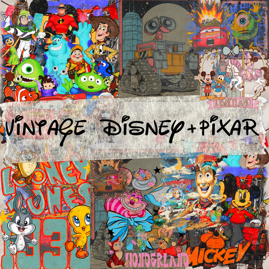 VINTAGE DSNY/PXR SOLO COLLAB - 10 png's
