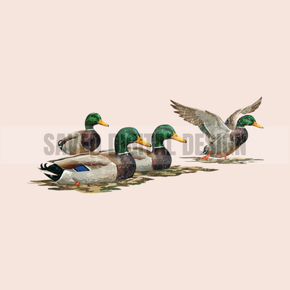 DUCKS