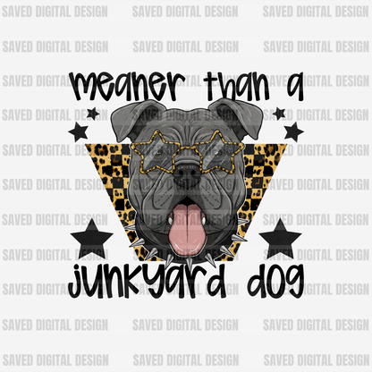 MEANER THAN A JUNKYARD DOG