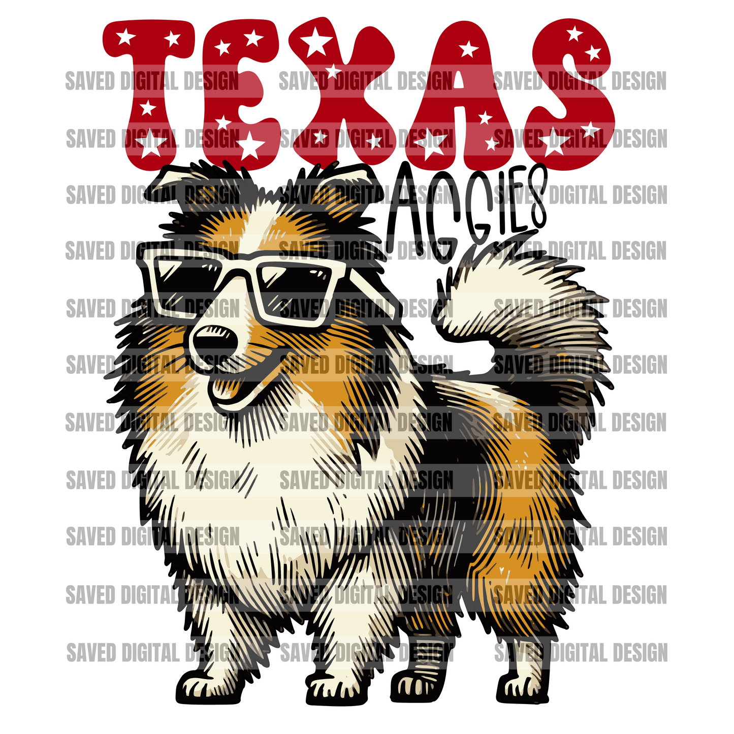 TEXAS MASCOT PNG